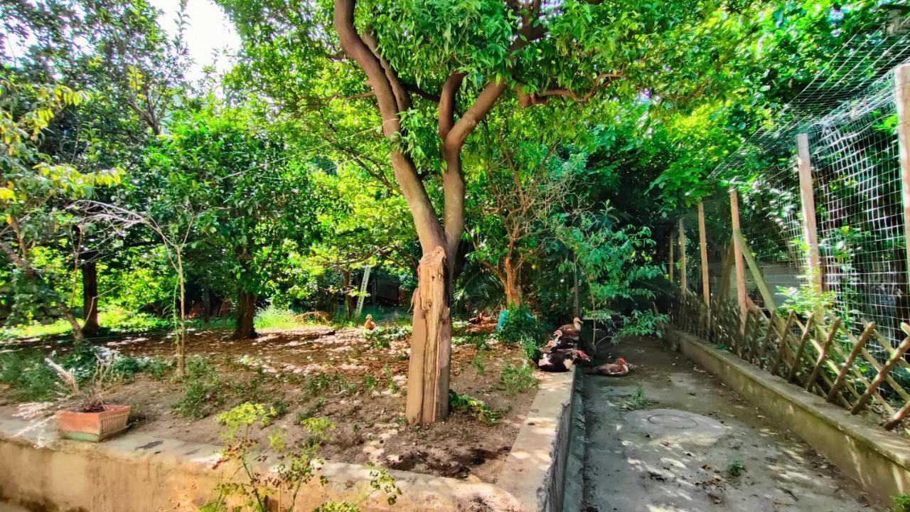 Casa Vacanza "Nonna Matilde" A Meta Di Sorrento, 600Mt Dal Mare, Casa Per 4 Экстерьер фото